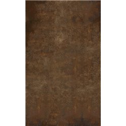Panneau de douche Kinewall Design 100x202 cm Acier corten