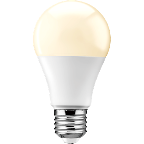 Ampoule Led E27 8,5W 850 Lm Blanc Chaud DECOTECH