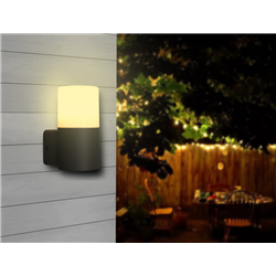 Applique Led Extérieur 60W LENA GARDEN