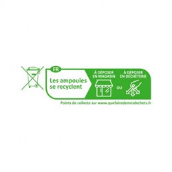 Ampoule LED G9 3W 300 Lm Blanc jour 