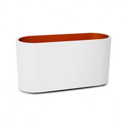 Applique murale LED blanc/doré, 1x5W LED  HOYA OVALE
