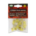 Sachet de 20 connecteurs rapides 2 câbles 0,5 à 2,5 mm² 