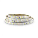 Ruban LED de 5 m 14,4 W/m 270 Lm/m Blanc jour