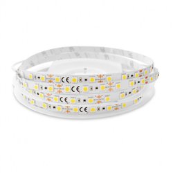 Ruban LED de 5 m 10,5W/m 884 Lm/m Blanc jour 