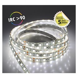 Ruban LED de 5 m 12,4W/m 796 Lm/m Blanc jour 