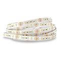 Ruban LED de 5 m 14,4W/m 1261 Lm/m Blanc chaud 