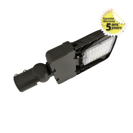 Tête de lampadaire, 100W 1100 Lm Blanc chaud SUNNY STREET