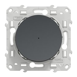 Bouton poussoir Wiser Odace S540530W 10 A zigbee anthracite