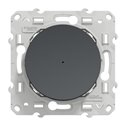 Bouton poussoir Wiser Odace S540530W 10 A zigbee anthracite