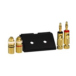 Adaptateur avec connexions haut-parleurs D-Life MTN464387 compatible avec MTN4540-603x 