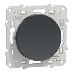 Va-et-vient 10A Odace S540204 Anthracite 