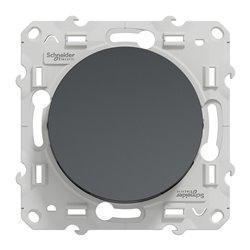 Va-et-vient 10A Odace S540204 Anthracite 