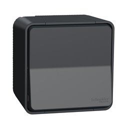 Interrupteur bipolaire Mureva Styl MUR35033 connexion auto gris
