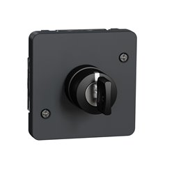 Interrupteur à clé 3 positions Mureva Styl MUR35061 gris composable