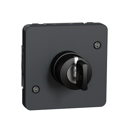 Interrupteur à clé 3 positions Mureva Styl MUR35061 gris composable