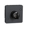 Interrupteur à clé 3 positions Mureva Styl MUR35061 gris composable