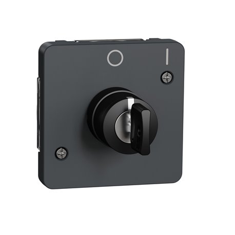Interrupteur à clé 2 positions Mureva Styl MUR35062 gris composable Interrupteur à clé 2 positions Mureva Styl MUR35062 gris composable
