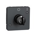 Interrupteur à clé 2 positions Mureva Styl MUR35062 gris composable