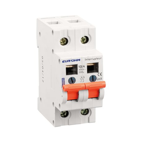 Interrupteur 2P 100A 2 modules