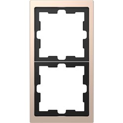 Cadre de finition métal D-Life MTN4020-6551 champagne 2 postes