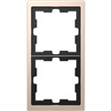 Cadre de finition métal D-Life MTN4020-6551 champagne 2 postes