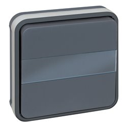 Commande Bouton poussoir avec voyant avec porte étiquette Gris
