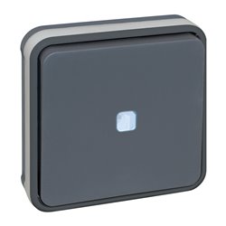 Commande Va et vient avec voyant Gris