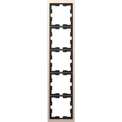 Cadre de finition métal D-Life MTN4050-6551 champagne 5 postes