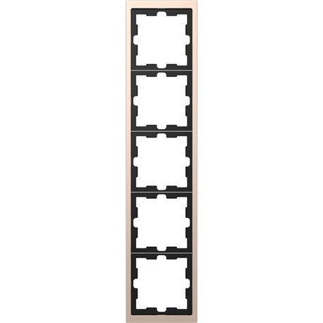 Cadre de finition métal D-Life MTN4050-6551 champagne 5 postes