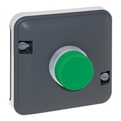 Mécanisme de commande Voyant vert Gris