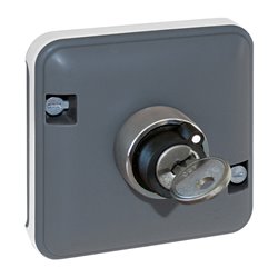 Mécanisme de commande Interrupteur à clé 2 positions Gris