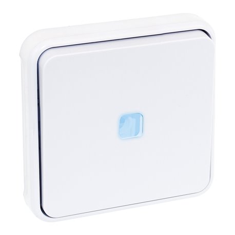 Commande Bouton poussoir avec voyant Blanc Commande Bouton poussoir avec voyant Blanc