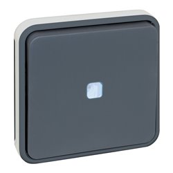 Commande Bouton poussoir avec voyant Gris