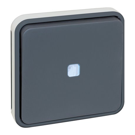 Commande Bouton poussoir avec voyant Gris Commande Bouton poussoir avec voyant Gris