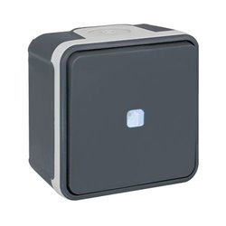 Commande Bouton poussoir avec voyant Gris
