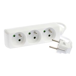 Bloc multiprise 3G1 mm² 3 prises 2P+T 16A sans interrupteur L1m