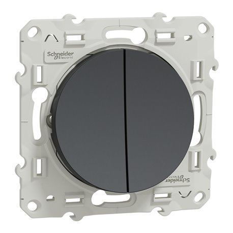 Double va-et-vient Odace S540214 Anthracite Double va-et-vient Odace S540214 Anthracite