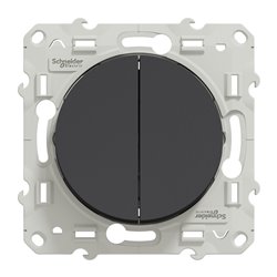 Double va-et-vient Odace S540214 Anthracite 