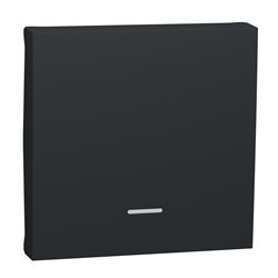 Enjoliveur interrupteur ou bouton-poussoir lumineux Unica NU920054N anthracite 2 modules