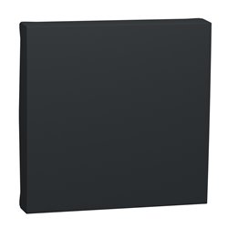 Enjoliveur interrupteur ou bouton-poussoir Unica NU920054 anthracite 2 modules