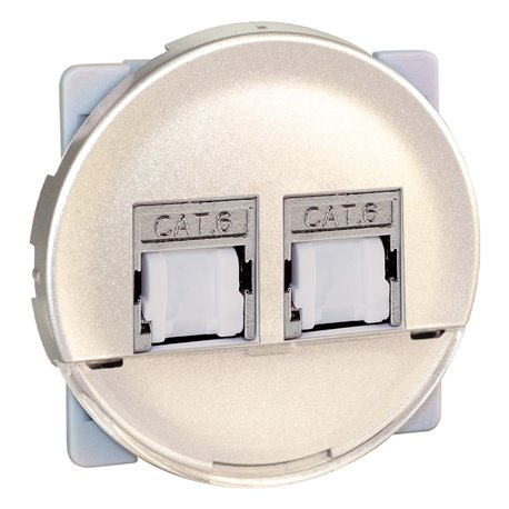 Prise RJ45 Double Grade 2 TV Cat 6 Titane