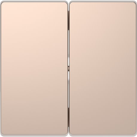 Enjoliveur pour commande double sans marquage D-Life MTN3400-6051 champagne 
