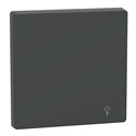 Enjoliveur pour commande simple avec picto lampe D-Life MTN3302-6034 anthracite 