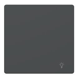 Enjoliveur pour commande simple avec picto lampe D-Life MTN3302-6034 anthracite 