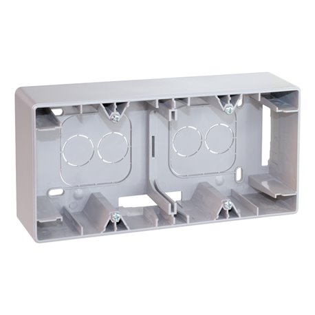 Cadre saillie 2 postes type B Silver