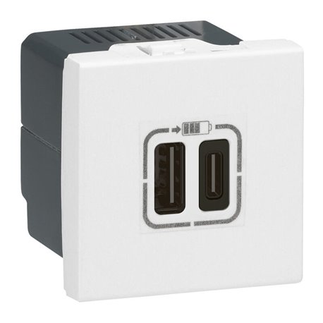 Chargeur 2 USB Type-C 3A 5V 15W Mosaic 2 modules 230V blanc 077590 Chargeur 2 USB Type-C 3A 5V 15W Mosaic 2 modules 230V blanc 077590