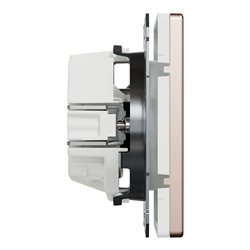 Prise de courant 2P+T FR D-Life MTN2500-6051 Métal champagne mécanisme et enjoliveur