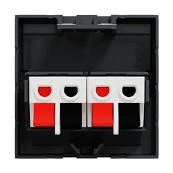 Prise haut-parleur 2 sorties rouge + noir Unica NU348654 anthracite 2 modules mécansime seul