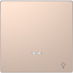 Enjoliveur pour commande simple voyant et picto lampe D-Life MTN3322-6051 champagne 