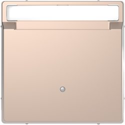 Enjoliveur pour interrupteur à carte porte-étiquette D-Life MTN3854-6051 champagne 